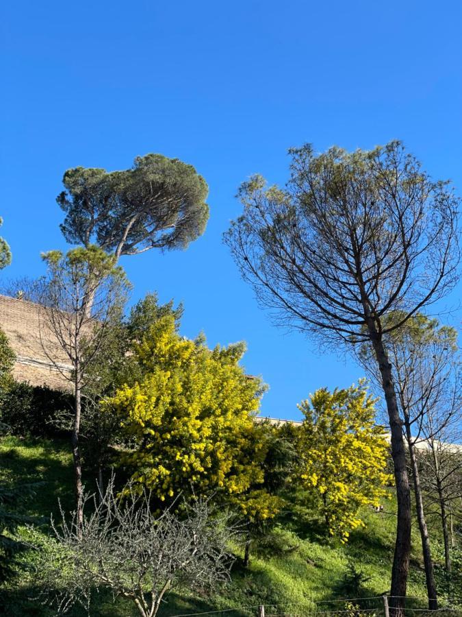 Vatican Green Holidays House Рим Екстер'єр фото